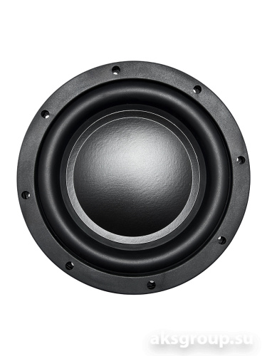 AMP by A.Vakhtin SWS-10D4