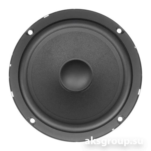 AMP CONCERT 6.5