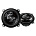 Pioneer TS-G1030S