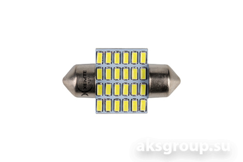 XENITE T11 C5W S2411