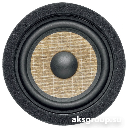 Focal IS MBZ100 V2