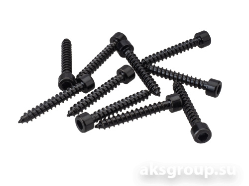 AurA WGS-535B