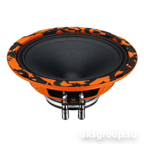 DL Audio Gryphon PRO 165 NEO