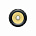 Focal ES165KX2 EVO