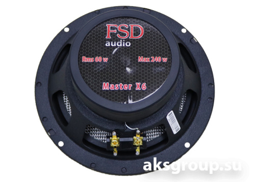 FSD audio MASTER X6