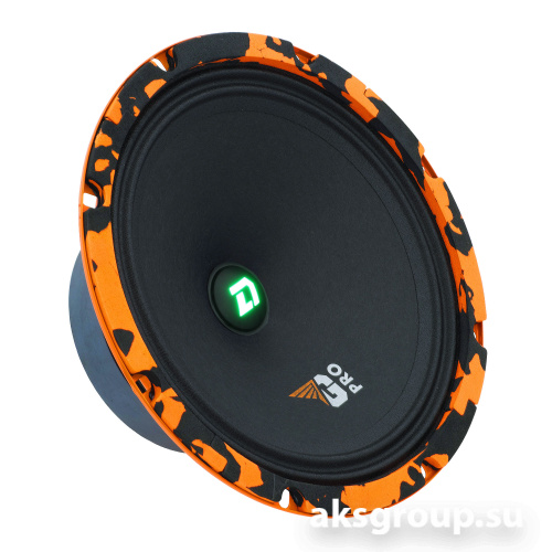 DL Audio Gryphon PRO 200 SE