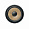 Focal P30FSE