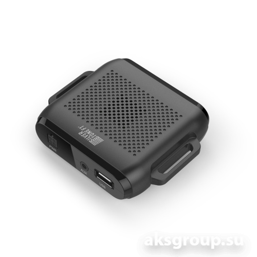 Silverstone F1 R-BOT