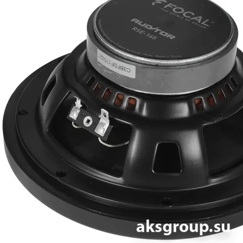 Focal RSE-165