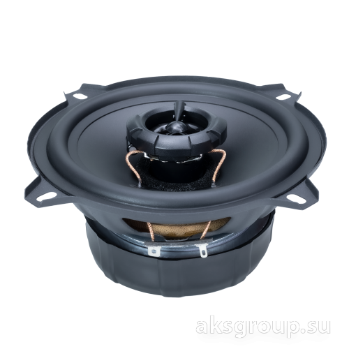 AMP MASS 502
