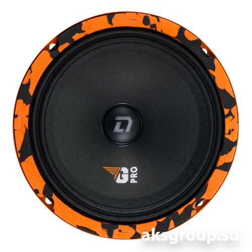 DL Audio Gryphon PRO 165 SE