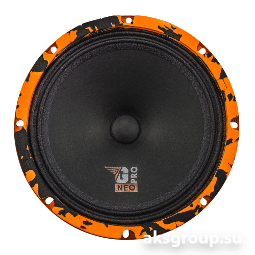 DL Audio Gryphon PRO 200 NEO