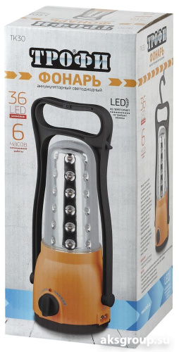 Фонарь TK30 ТРОФИ
