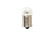 XENITE R10W STANDART