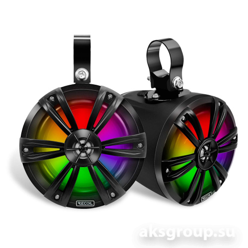 Recoil R65