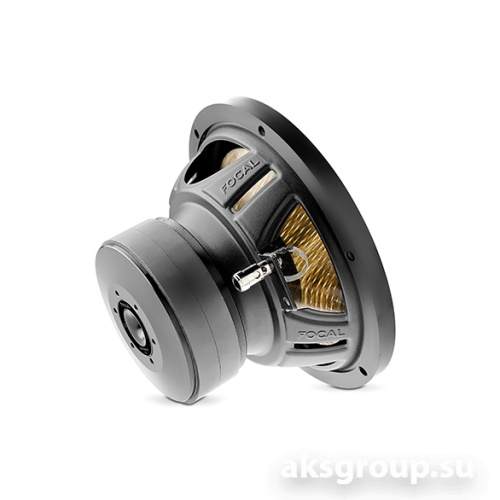 Focal P20FE