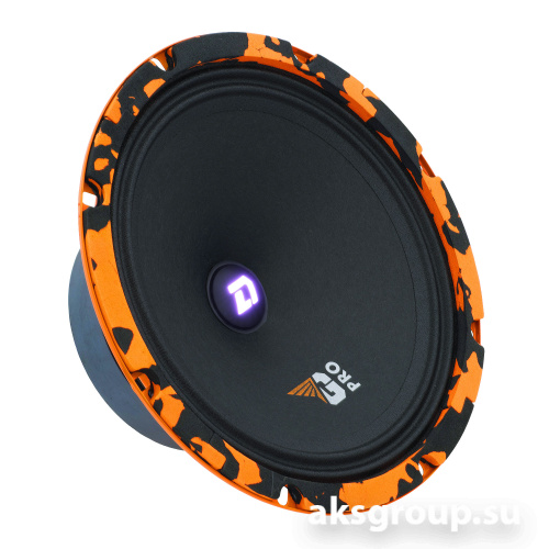 DL Audio Gryphon PRO 200 SE