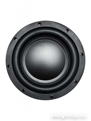 AMP by A.Vakhtin SWS-10D2