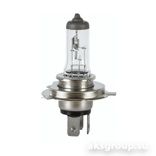 XENITE H19 STANDART