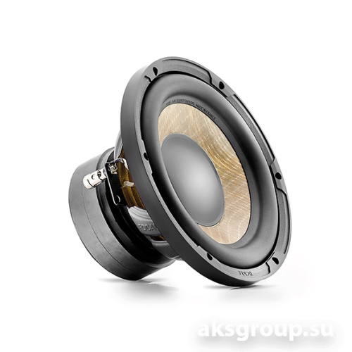 Focal P20FE