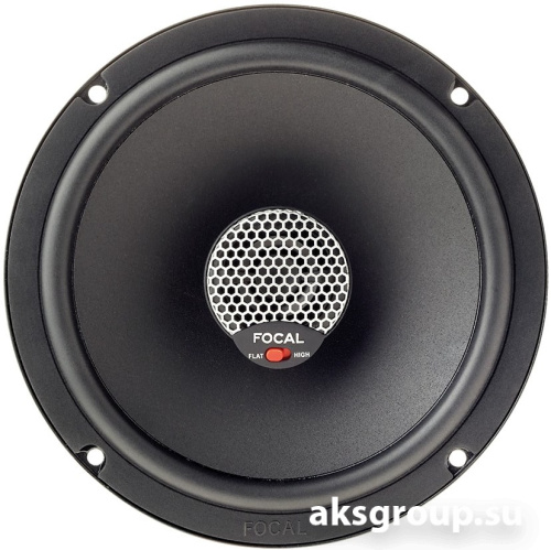 Focal ICU165