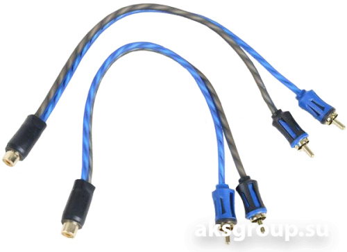 FSD audio SRCA - Y 2M