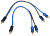 FSD audio SRCA - Y 2M