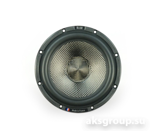 BLAM WS6300