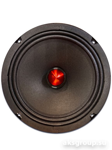 Ivolga UP-810