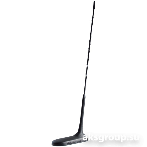 President VIRGINIA UP