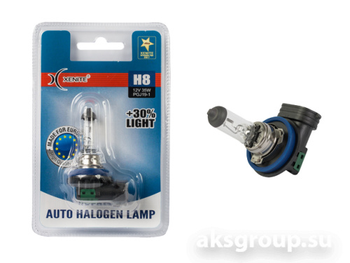 XENITE H8 STANDART+30%