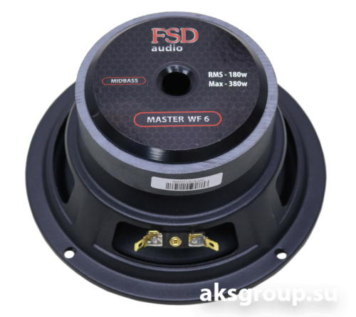 FSD audio MASTER WF 6