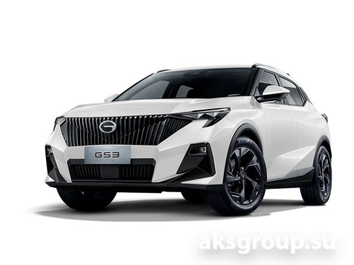 DRAGON GAC GS3 (2024-), РВ БШ