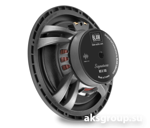 BLAM WS8100