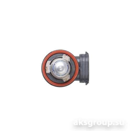 OPTIMA Eagle Night H11 12v