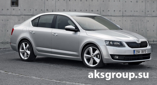 Garant Block Lux (633) Scoda Octavia NEW (2013-) , VW Polo