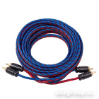 KICX Headshot RCA-22-5-SSP