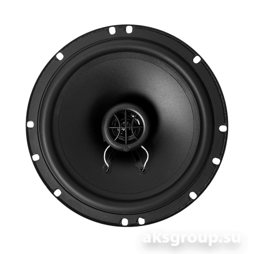 DLS PA6