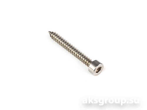 AurA WGS-4838